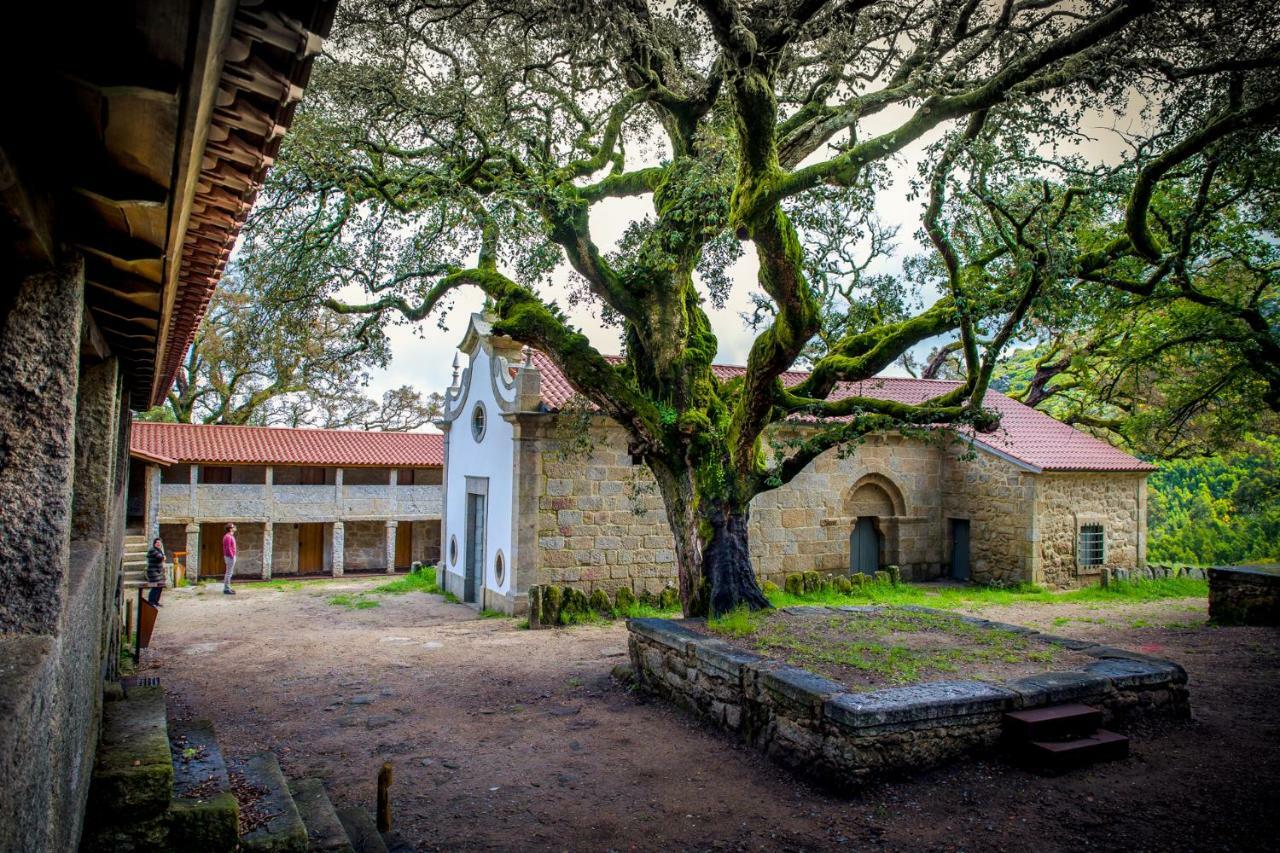 Casa Da Vila Cerveira Vila Nova de Cerveira Dış mekan fotoğraf